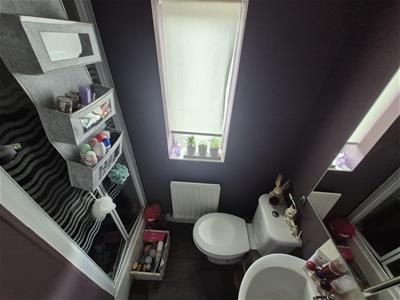 Picture 12
